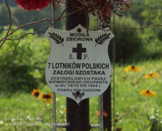 Tabliczka z symbolicznej mogiły lotników na cmentarzu w Pogwizdowie