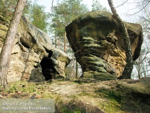 Jeden z grzybów Kamieni Brodzińskiego