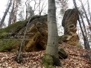 Kamień Żółw w Tarnawie